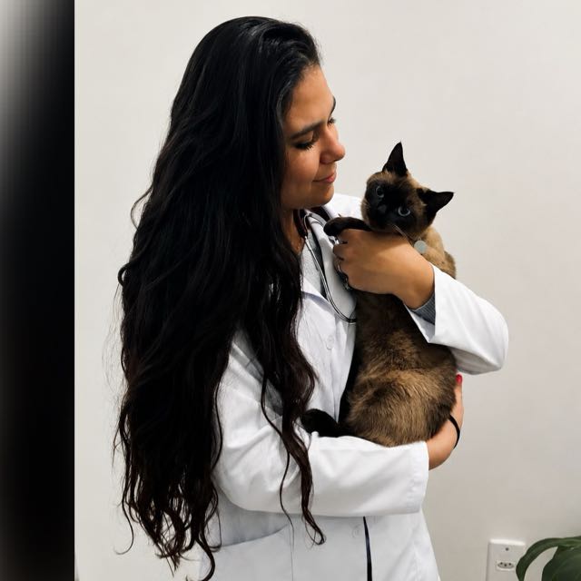 Dra. Isabela Moscatelli segurando um gato siamês